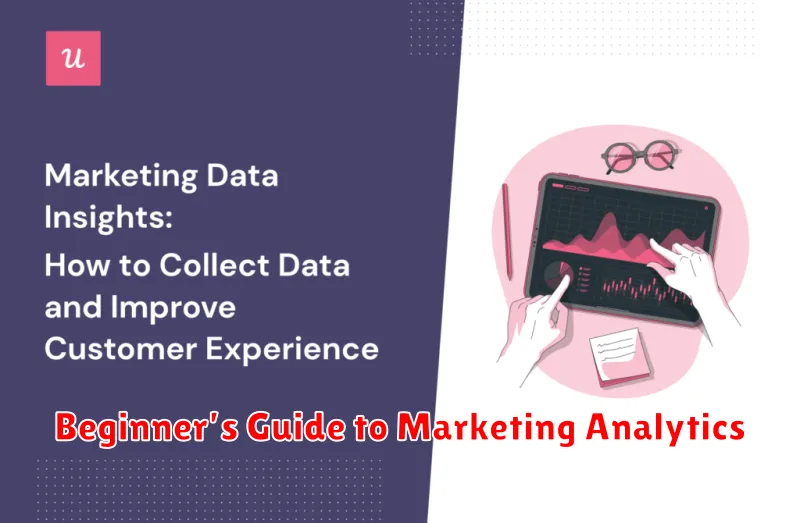 Beginner’s Guide to Marketing Analytics